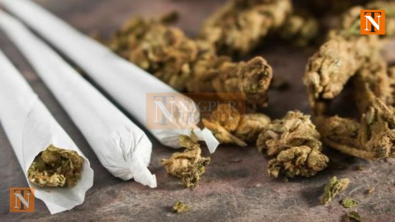 Illegal Ganja Selling under Mangalwari Bridge